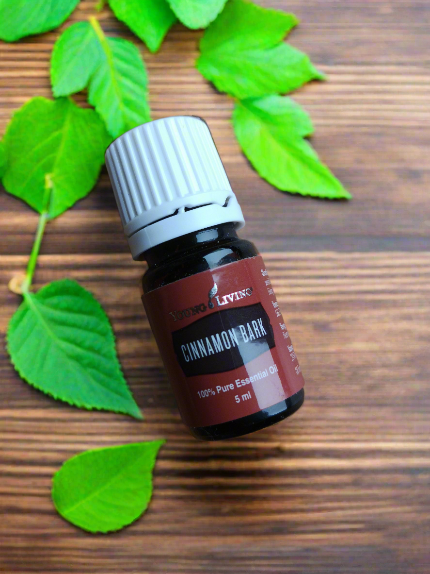 Cinnamon Bark Zimtrinde Young Living ätherisches Öl