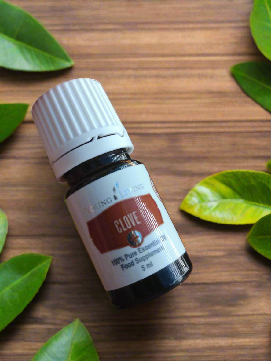 Clove Nelke Young Living ätherisches Öl