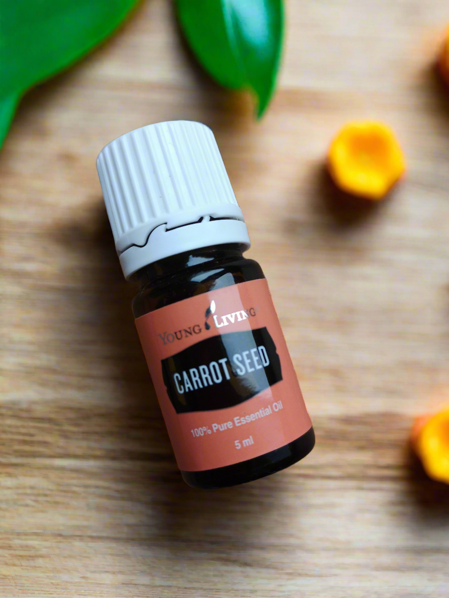 Carrot Seed Karottensamenöl Young Living ätherisches Öl