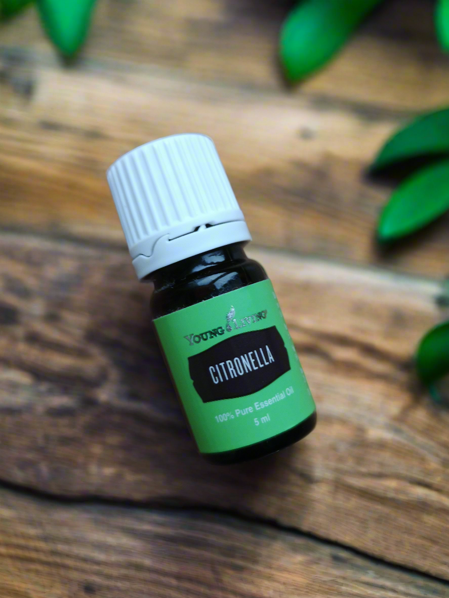 Citronella Young Living ätherisches Öl