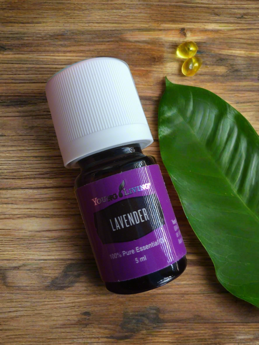 Lavender Lavendel Young Living ätherisches Öl
