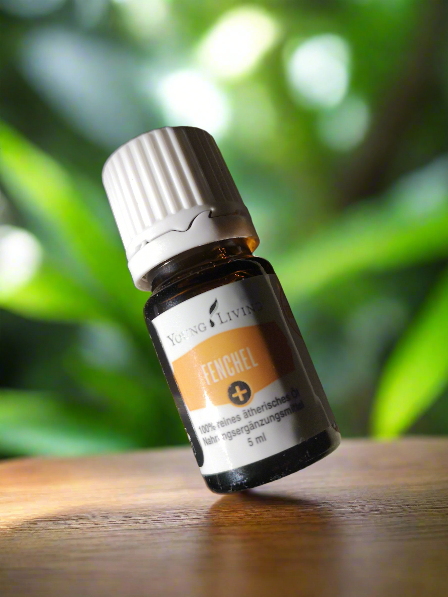 Fennel Fenchel Young Living ätherisches Öl