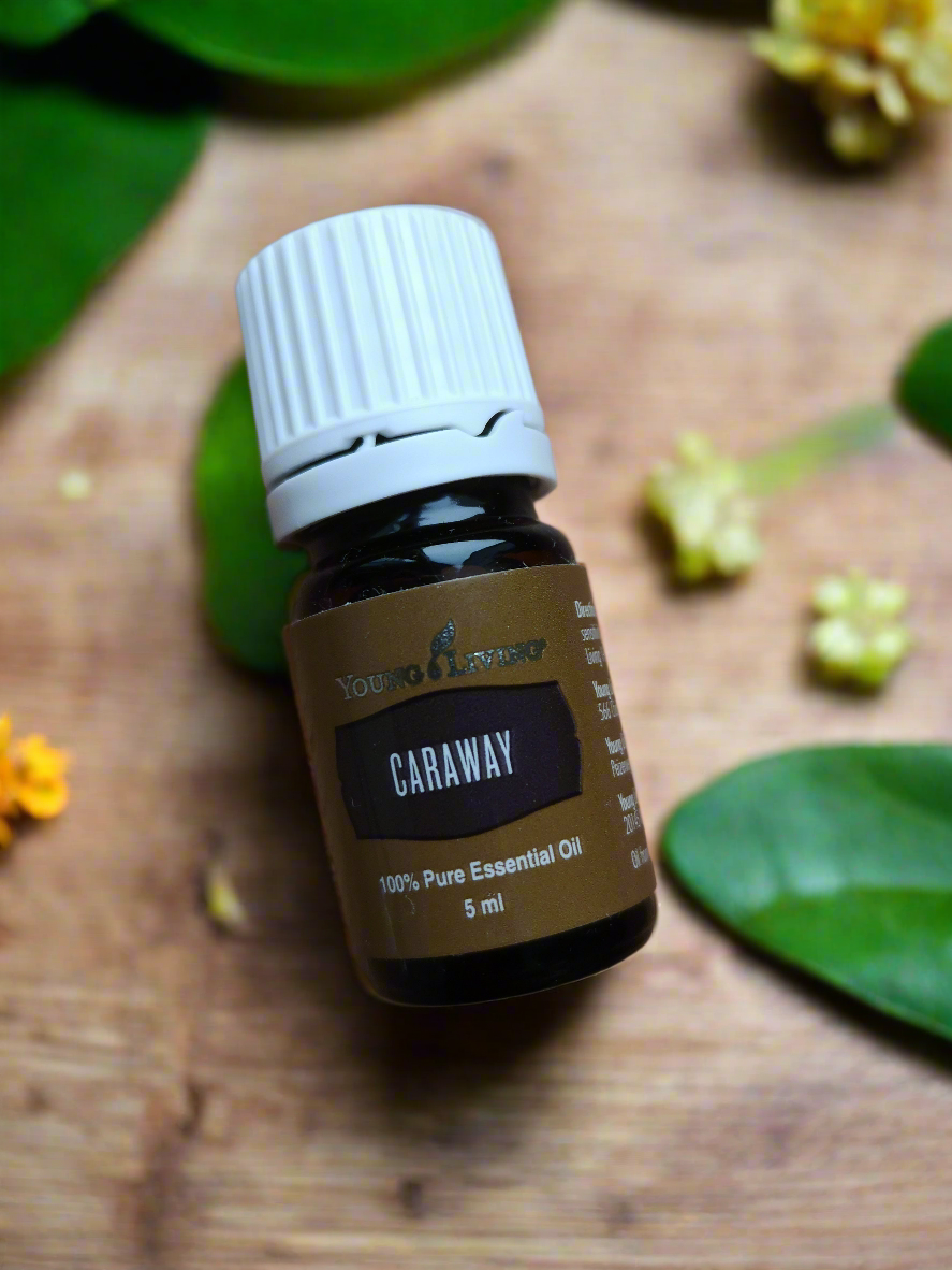 Caraway Kümmel Young Living ätherisches Öl