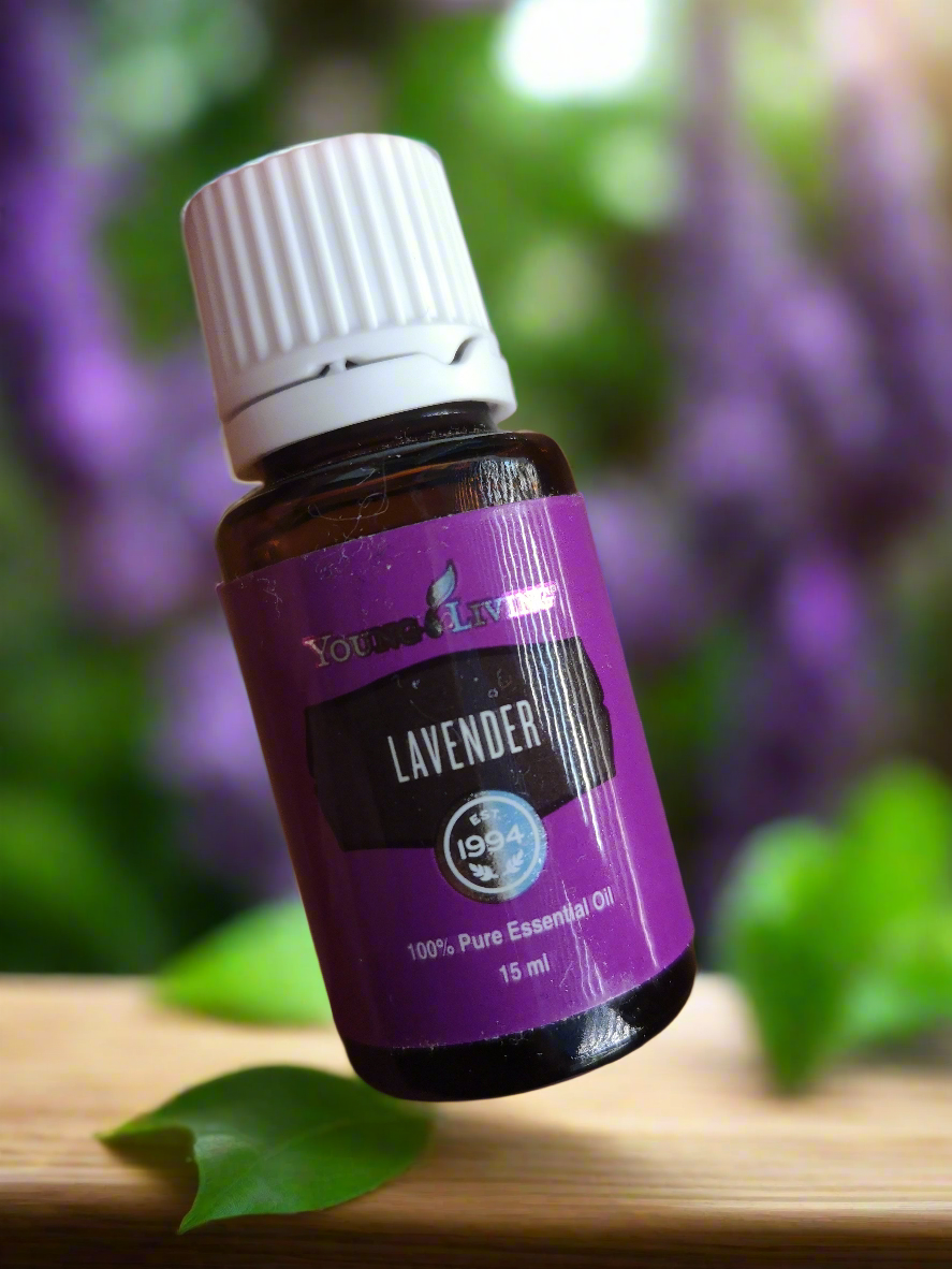 Lavender Lavendel Young Living ätherisches Öl