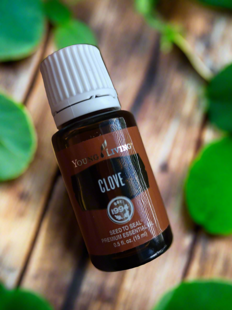 Clove Nelke Young Living ätherisches Öl