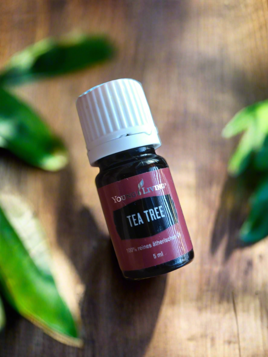 Tea tree Teebaum Young Living ätherisches Öl