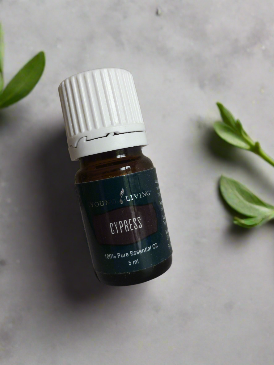 Cypress - Zypresse - 5ml - Young Living