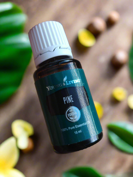Pine Pinie Young Living ätherisches Öl 