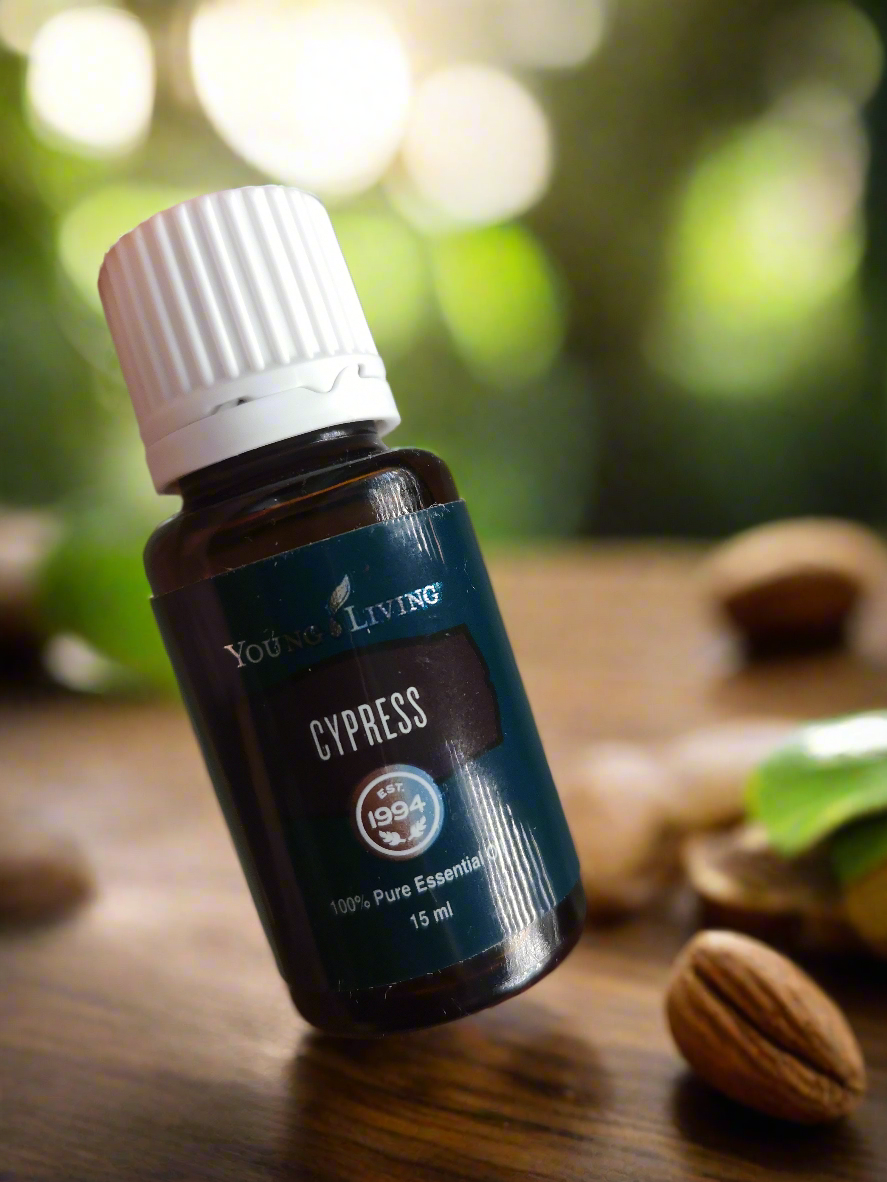 Cypress Zypresse Young Living ätherisches Öl 