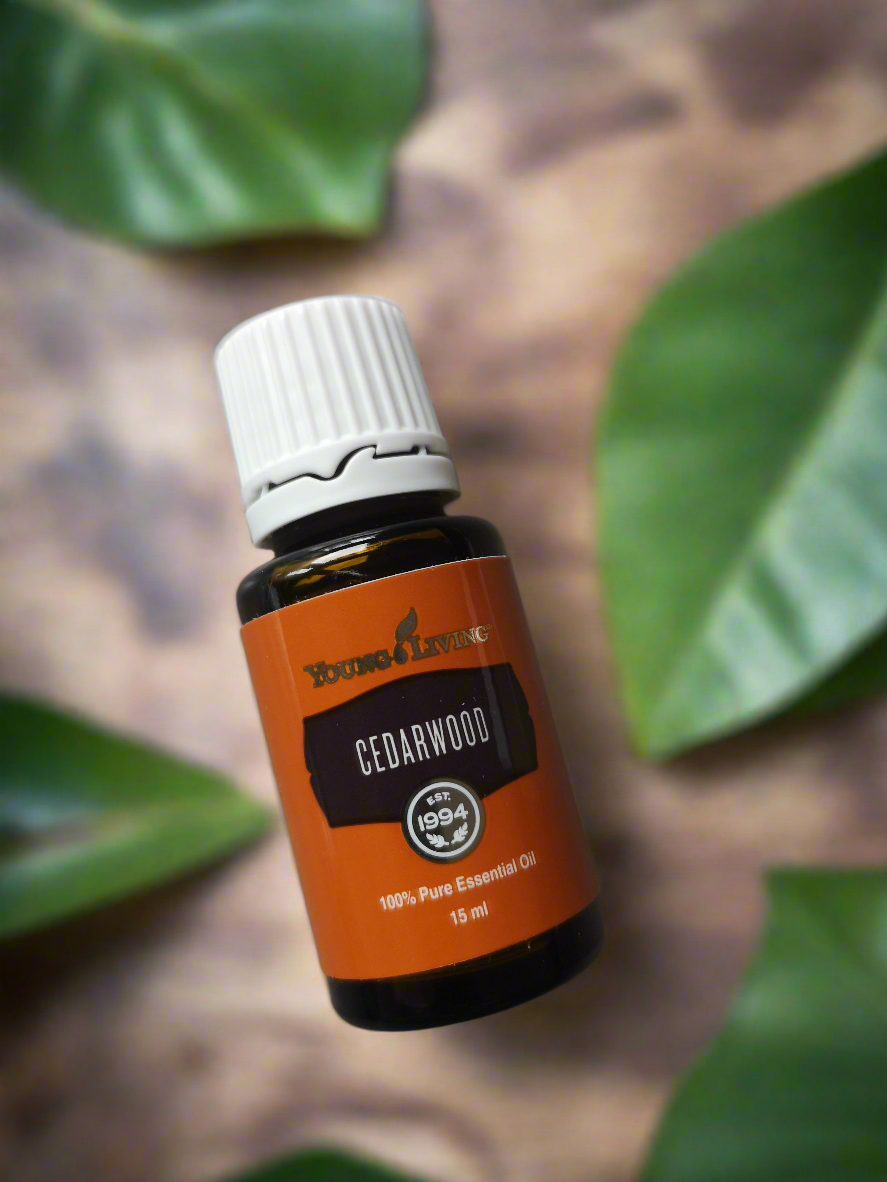 15ml Zedernholz Cedarwood Young Living ätherisches Öl 