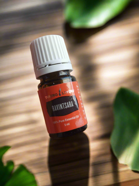 Ravintsara ätherische Öle 5ml Young Living 