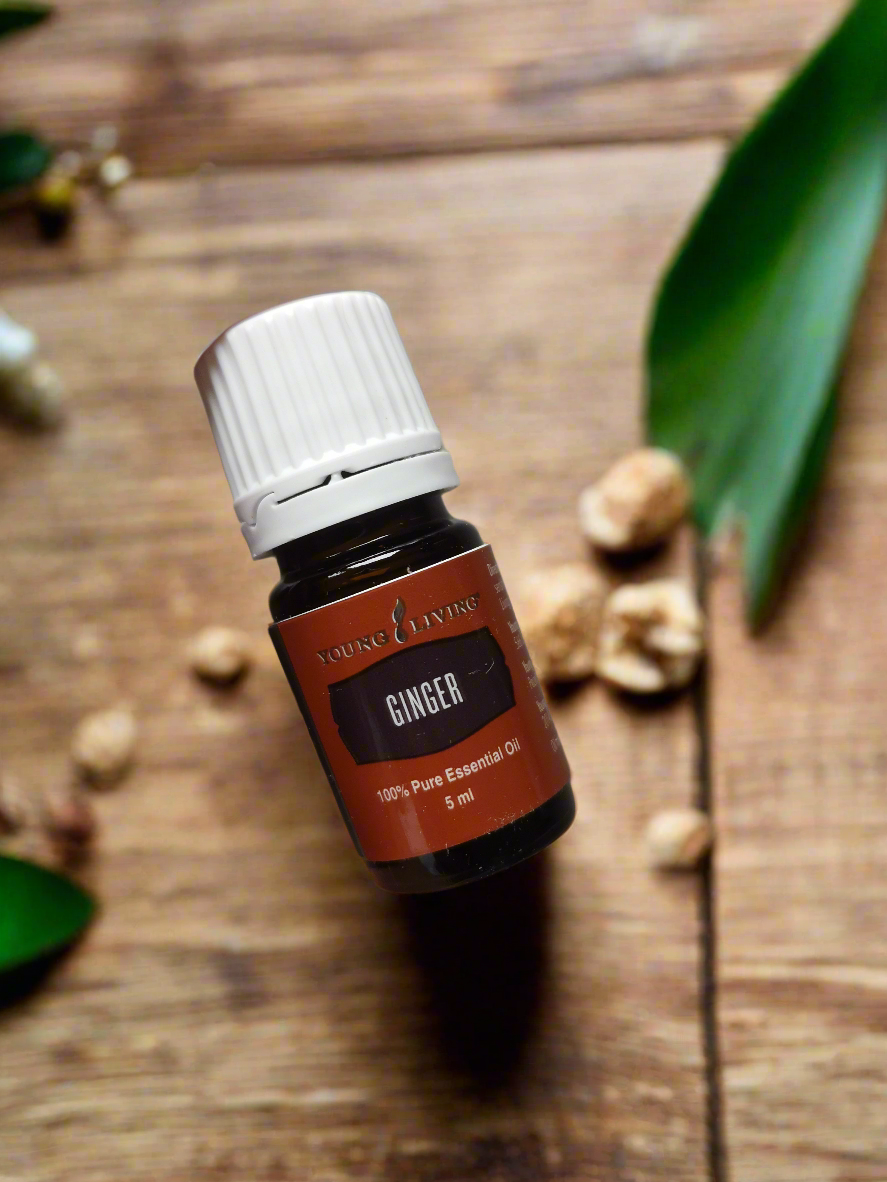 Ginger Ingwer Young Living ätherisches Öl 