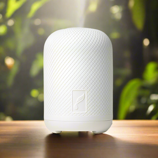 Haven Diffuser Young Living ätherisches Öl 