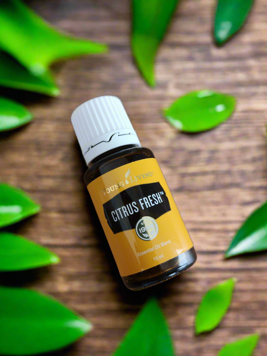 Citrus Fresh Young Living ätherisches Öl 