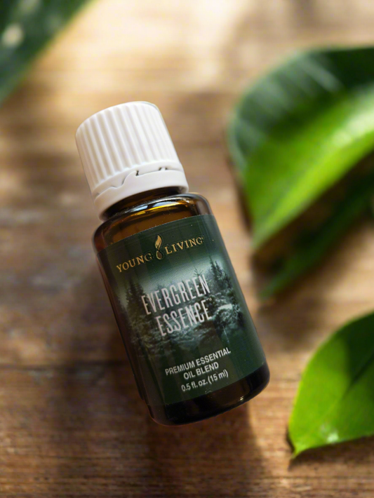 Evergreen Essence Young Living ätherisches Öl 
