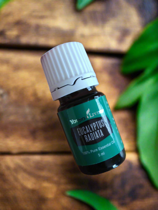 Eucalyptus Radiata Young Living ätherisches Öl 