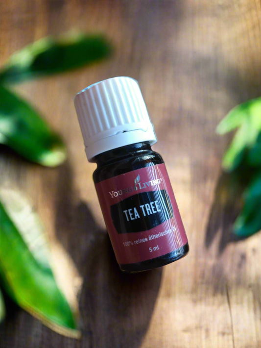 Tea tree Teebaum Young Living ätherisches Öl 