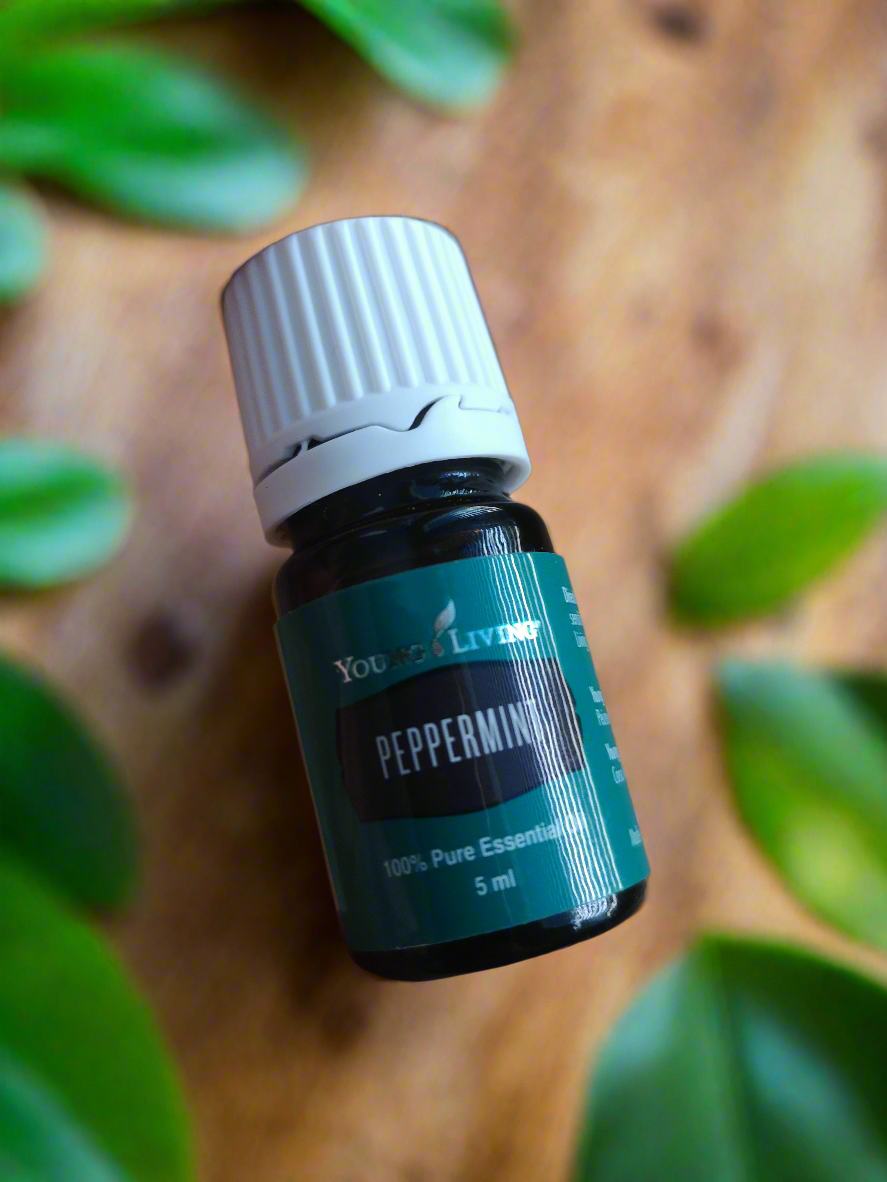 Peppermint Pfefferminz Young Living ätherisches Öl 